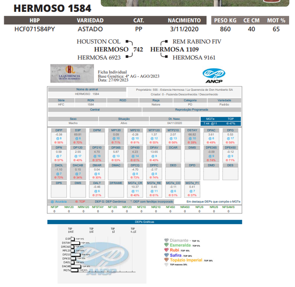 Lote LOTE 18