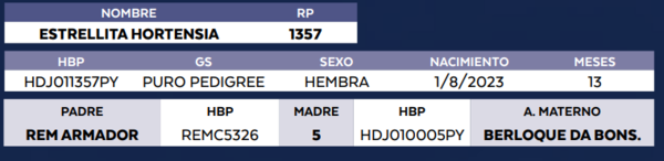 Lote LOTE 52- DE BOZAL