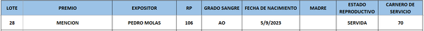 Lote LOTE 28