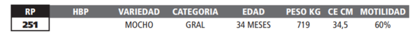 Lote LOTE 77