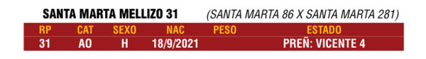 Lote LOTE 7