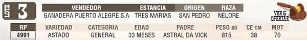 Lote LOTE 3 - EN VIVO