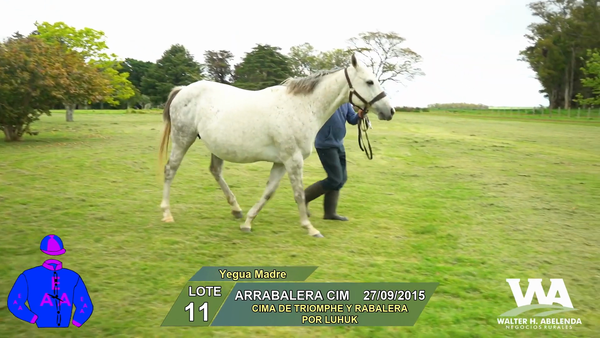 Lote ARRABALERA CIM