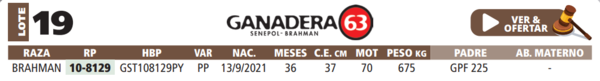 Lote LOTE 19