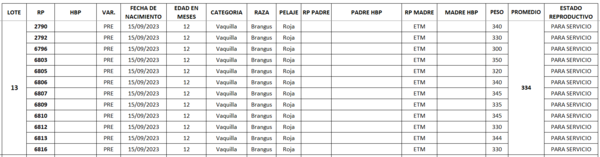 Lote LOTE 13