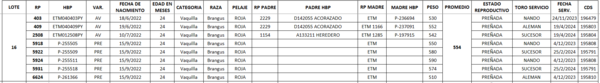 Lote LOTE 16