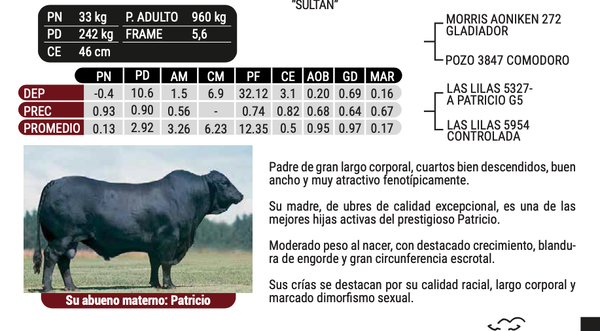 Lote "GENSUR" - BAYACETO - Las Lilas 7425-P Sultán Patricio