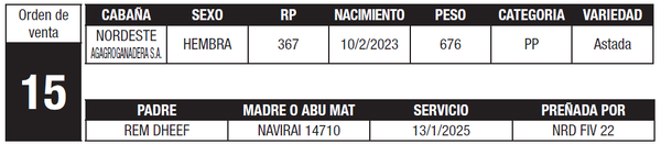 Lote LOTE 15