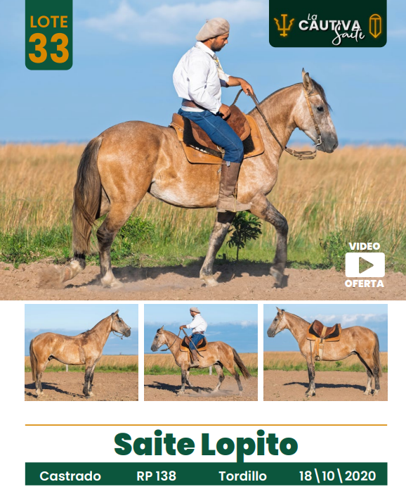Lote LOTE 33