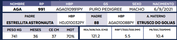 Lote LOTE 64