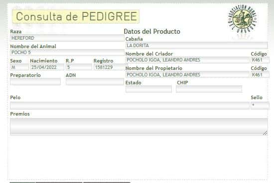 Lote TORO PI - RP 05