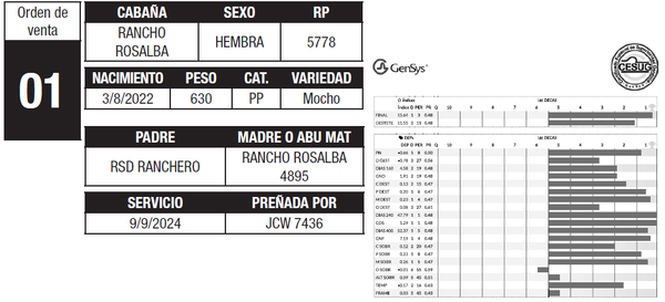Lote LOTE 1