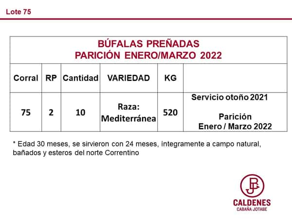 Lote BUFALAS PREÑADAS - PARICION ENERO/MARZO 2022