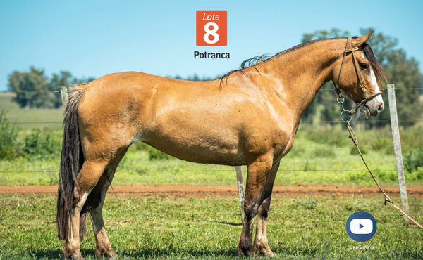 Lote DEL SILENCIO BORDONA