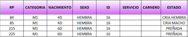 Lote LOTE 10