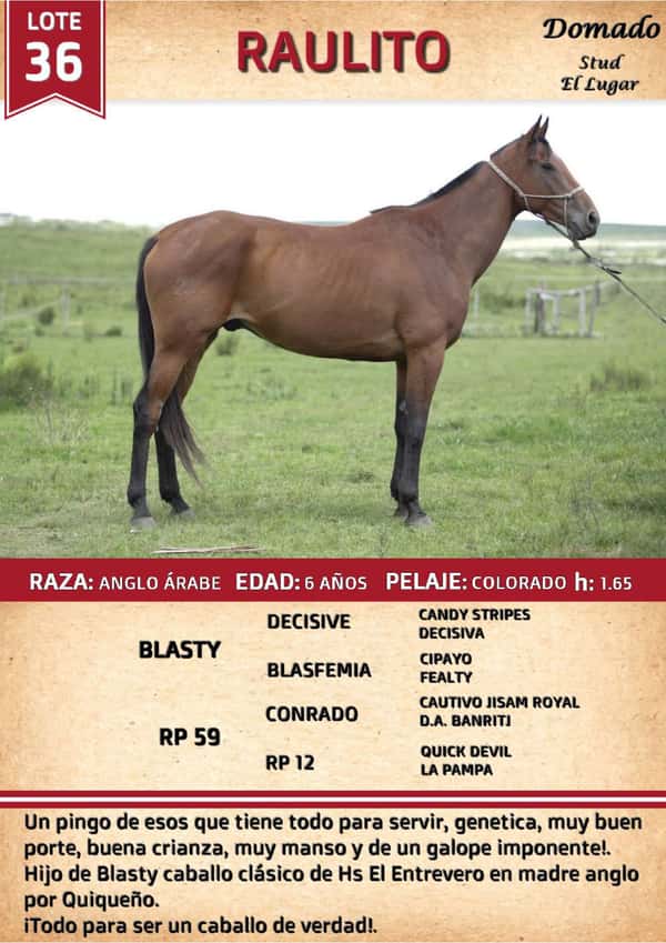 Lote RAULITO