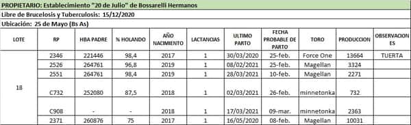 Lote Lote 18