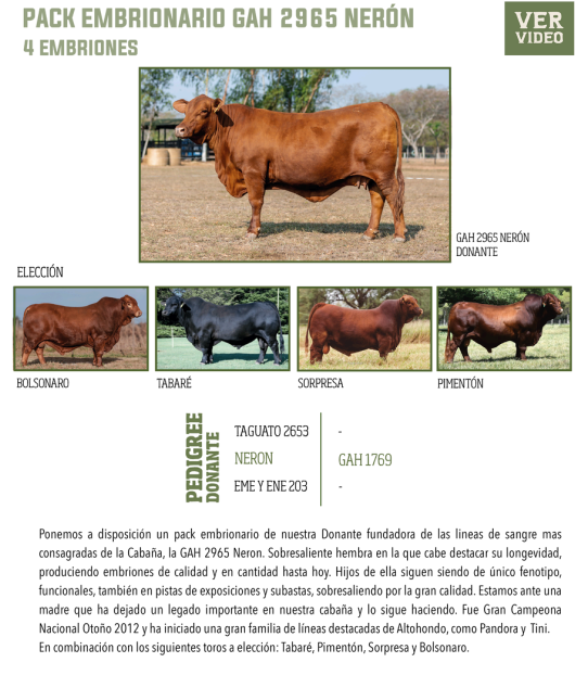 Lote LOTE 20