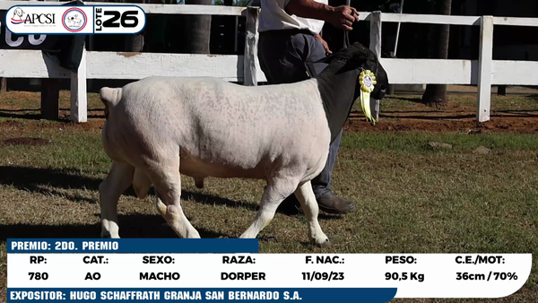 Lote LOTE 26