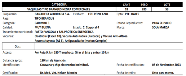 Lote LOTE 59