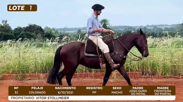 Lote LOTE 1- BOZAL