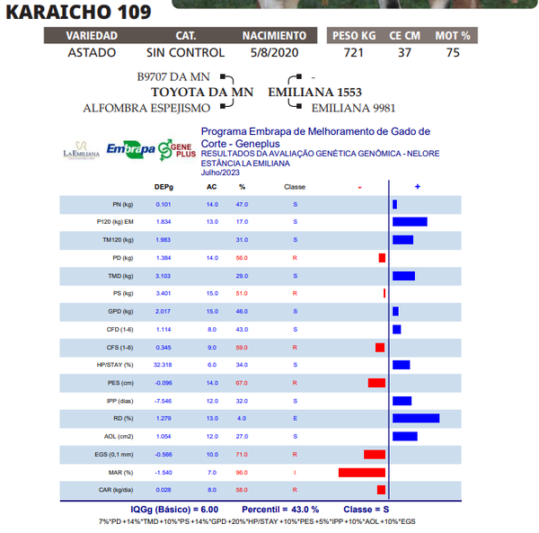 Lote LOTE 32