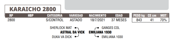 Lote LOTE 38