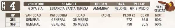 Lote LOTE 4 - EN VIVO