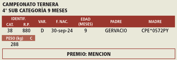 Lote LOTE 1