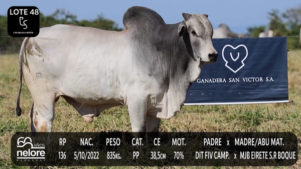 Lote LOTE 48
