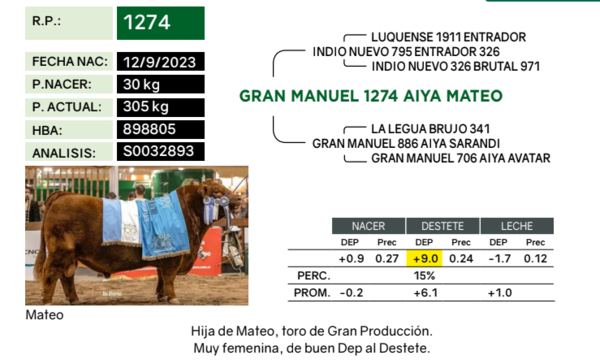 Lote Terneras PP