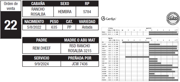 Lote LOTE 22