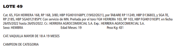 Lote LOTE 49