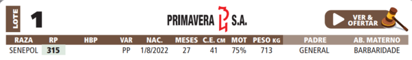 Lote LOTE 1