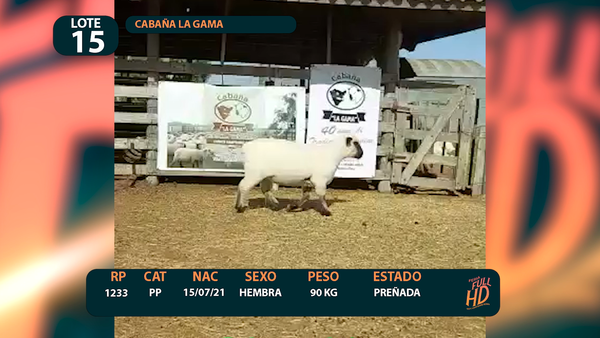 Lote LOTE 15 - CABAÑA ARGENTINA