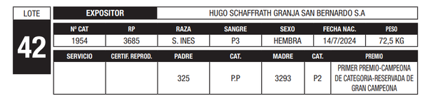 Lote LOTE 42