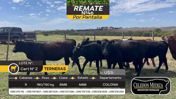 Lote 9 Terneras en Otra Localidad, Colonia