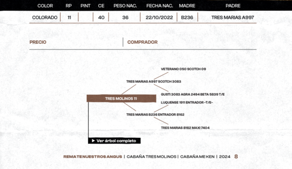 Lote "TRES MOLINOS" TOROS  P.P."