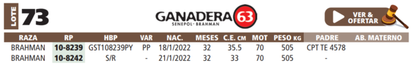 Lote LOTE 73