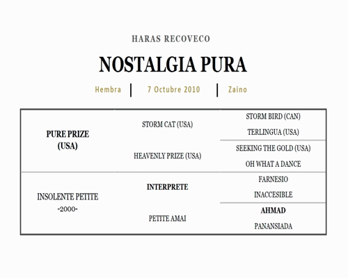 Lote CULTURA GUARANI (PURE PRIZE - CUÑATAHI)