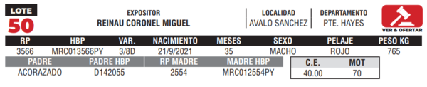 Lote LOTE 50- CAMPO