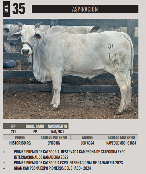 Lote LOTE 35