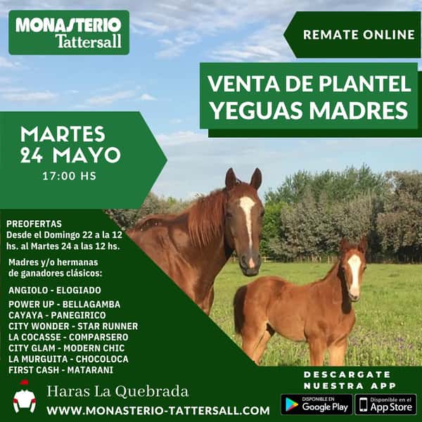 Lote Lote Prueba