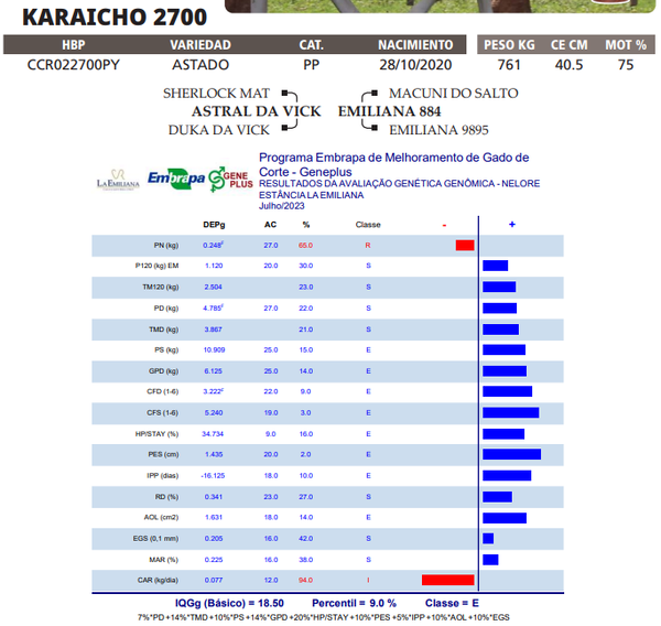 Lote LOTE 41