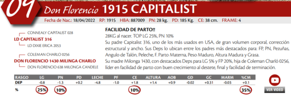 Lote MACHO PP