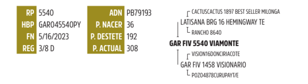 Lote LOTE 20