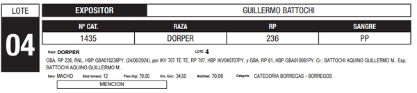 Lote LOTE 4