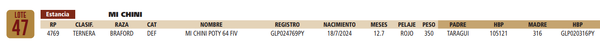 Lote LOTE 47