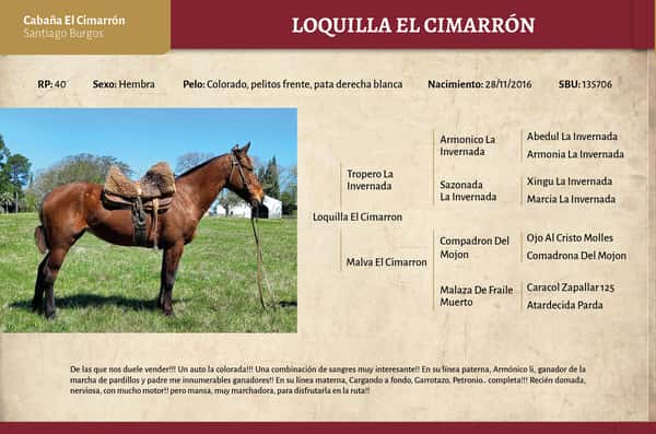 Lote Loquilla El Cimarron (RP 40) - Cabaña El Cimarron
