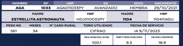 Lote LOTE 32